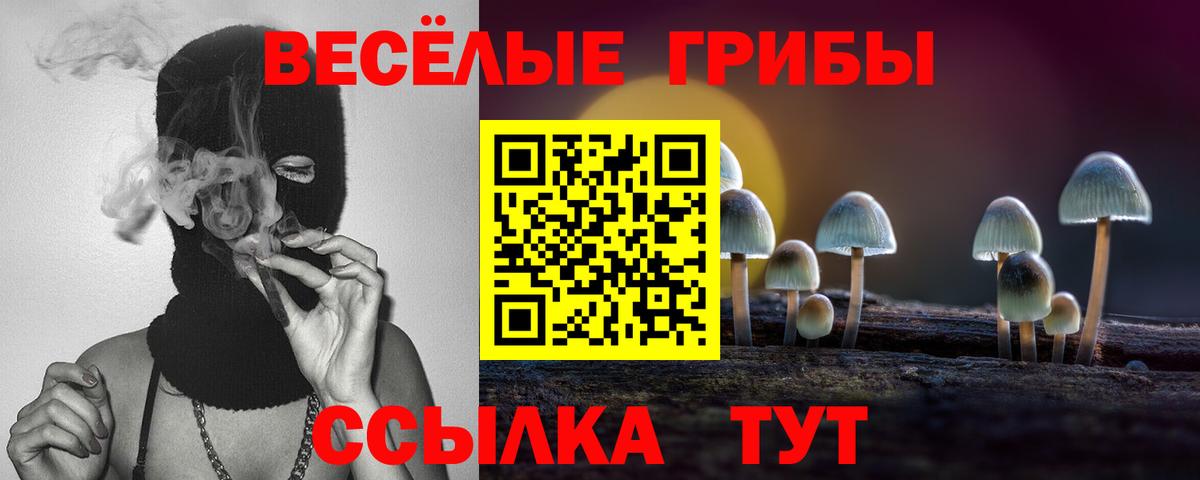 Советская Гавань  купить закладку  Вход с VPN  Псилоцибиновые грибы Cubensis 